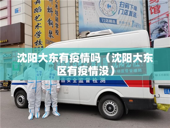 沈阳大东有疫情吗（沈阳大东区有疫情没）