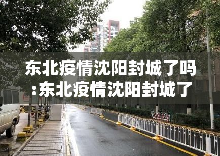 东北疫情沈阳封城了吗:东北疫情沈阳封城了吗最新消息