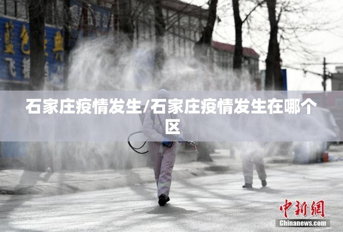 石家庄疫情发生/石家庄疫情发生在哪个区