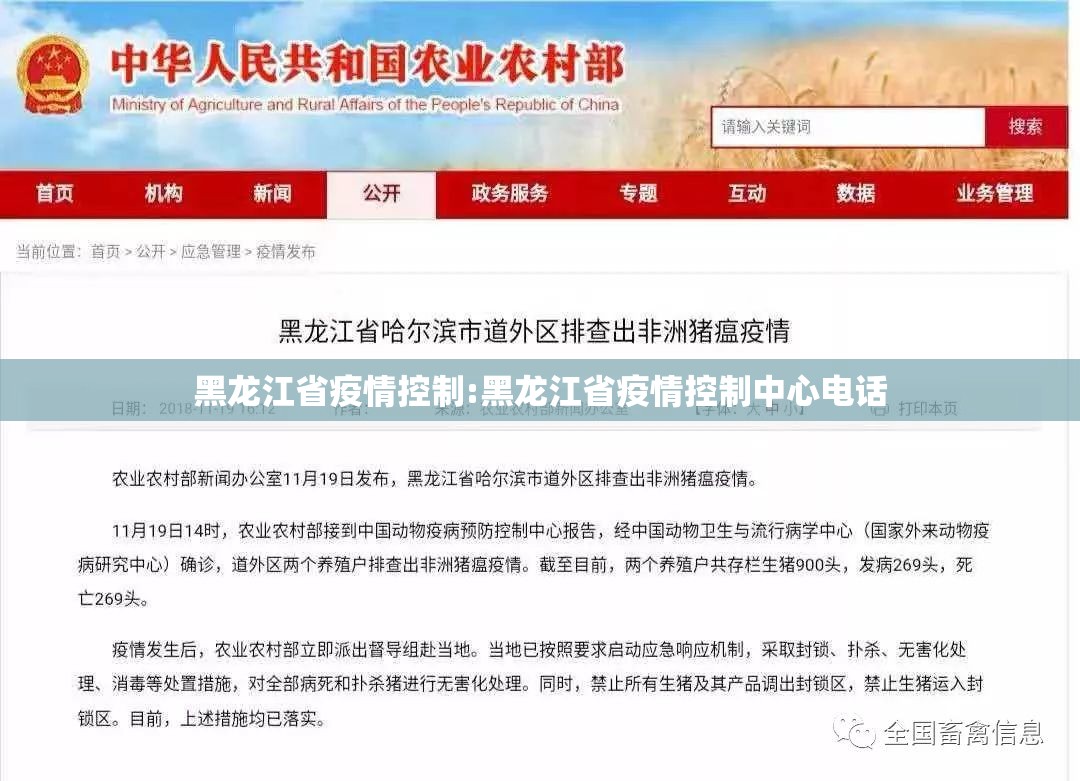黑龙江省疫情控制:黑龙江省疫情控制中心电话