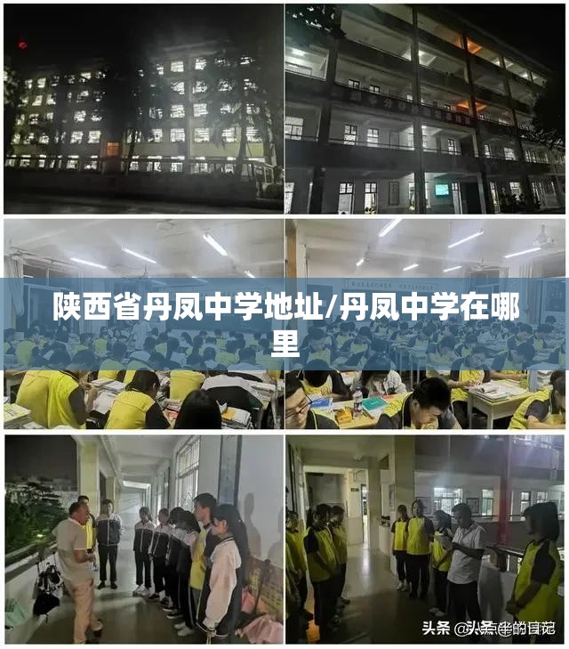 陕西省丹凤中学地址/丹凤中学在哪里