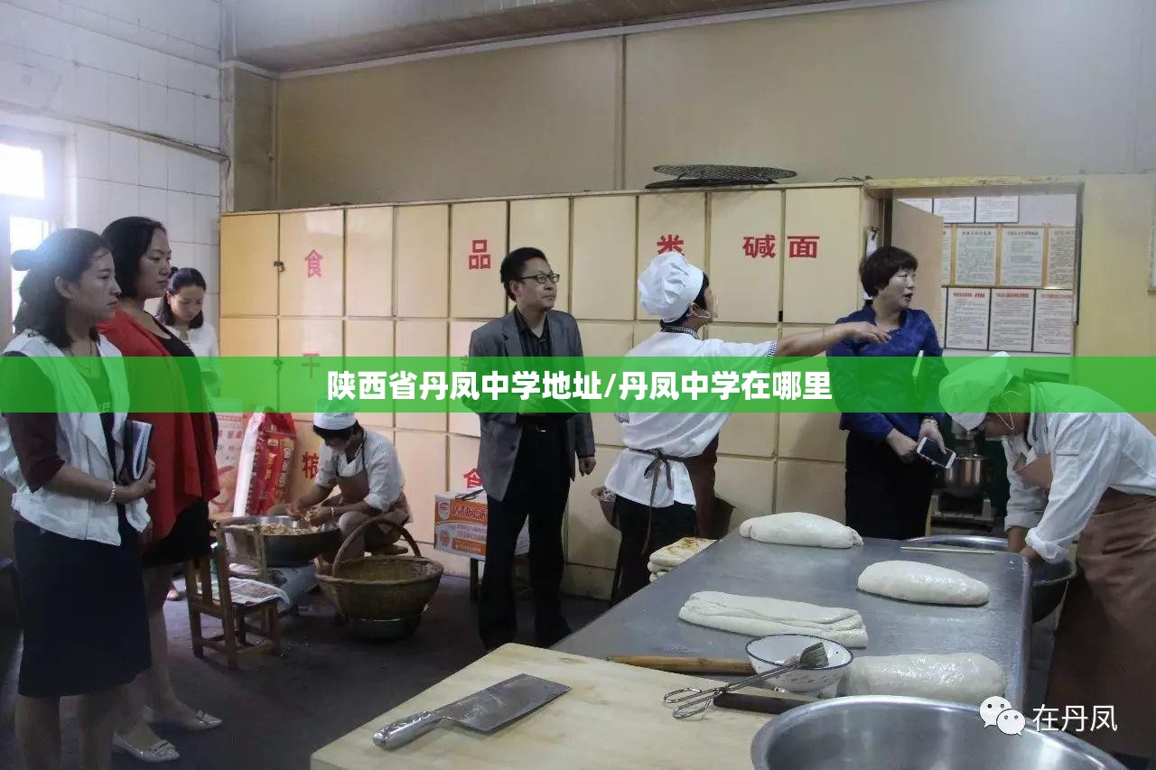 陕西省丹凤中学地址/丹凤中学在哪里