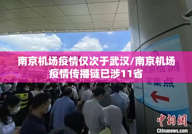 南京机场疫情仅次于武汉/南京机场疫情传播链已涉11省