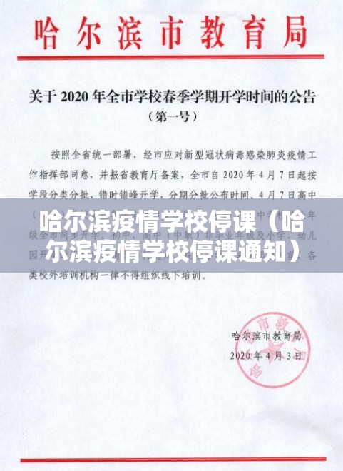 哈尔滨疫情学校停课（哈尔滨疫情学校停课通知）