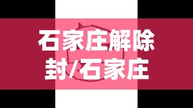 石家庄解除封/石家庄封城解封