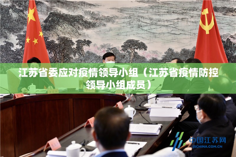 江苏省委应对疫情领导小组（江苏省疫情防控领导小组成员）