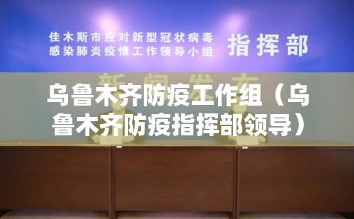 乌鲁木齐防疫工作组（乌鲁木齐防疫指挥部领导）