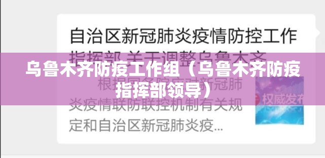 乌鲁木齐防疫工作组（乌鲁木齐防疫指挥部领导）
