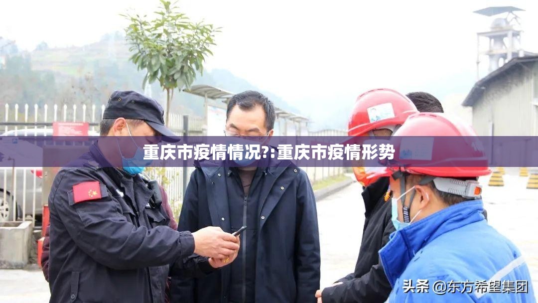 重庆市疫情情况?:重庆市疫情形势