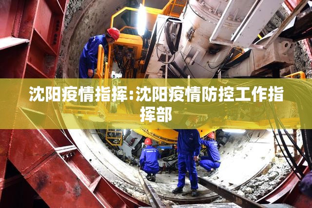 沈阳疫情指挥:沈阳疫情防控工作指挥部