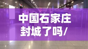 中国石家庄封城了吗/石家庄封城没有?