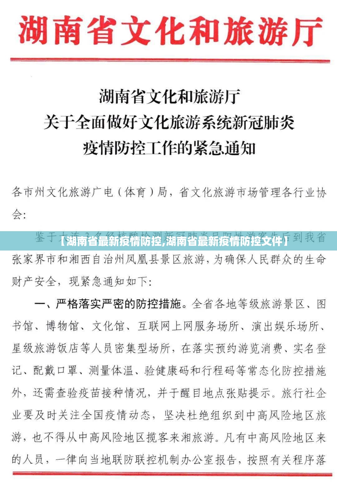 【湖南省最新疫情防控,湖南省最新疫情防控文件】