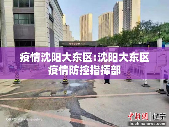 疫情沈阳大东区:沈阳大东区疫情防控指挥部