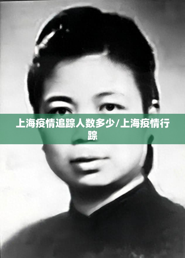 上海疫情追踪人数多少/上海疫情行踪