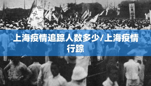 上海疫情追踪人数多少/上海疫情行踪