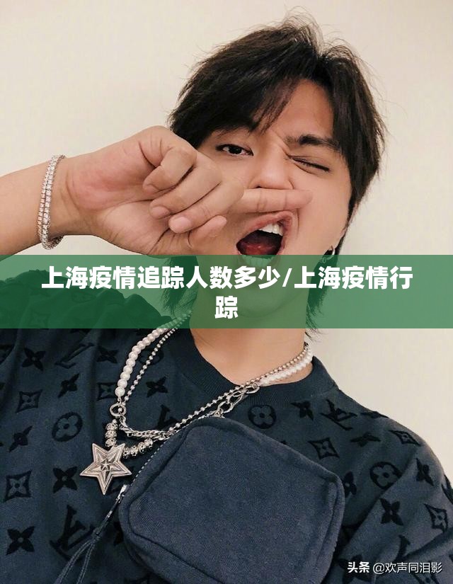 上海疫情追踪人数多少/上海疫情行踪