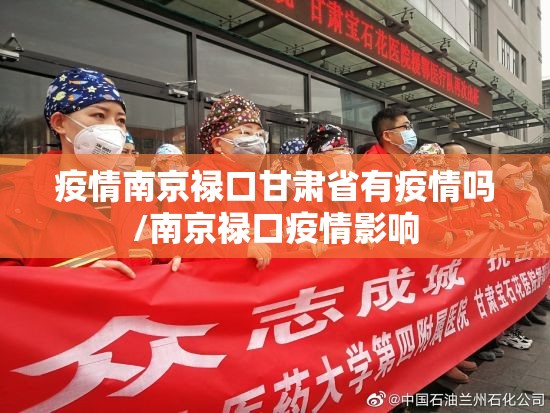 疫情南京禄口甘肃省有疫情吗/南京禄口疫情影响