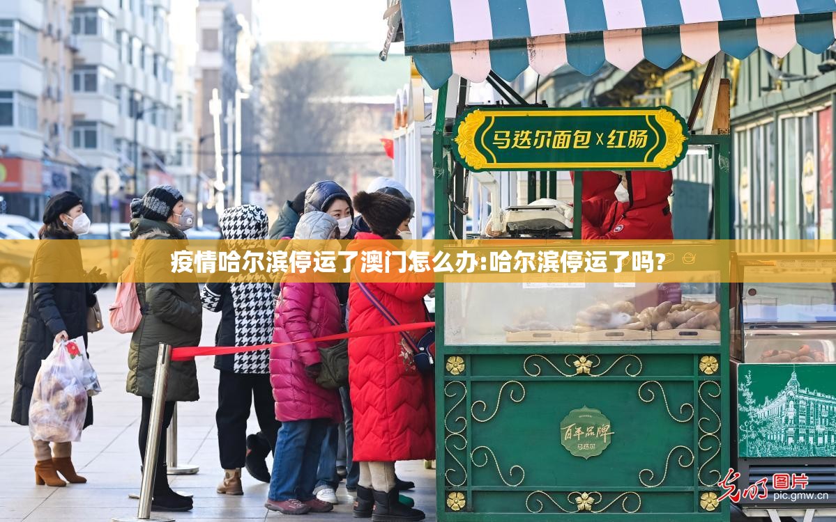 疫情哈尔滨停运了澳门怎么办:哈尔滨停运了吗?