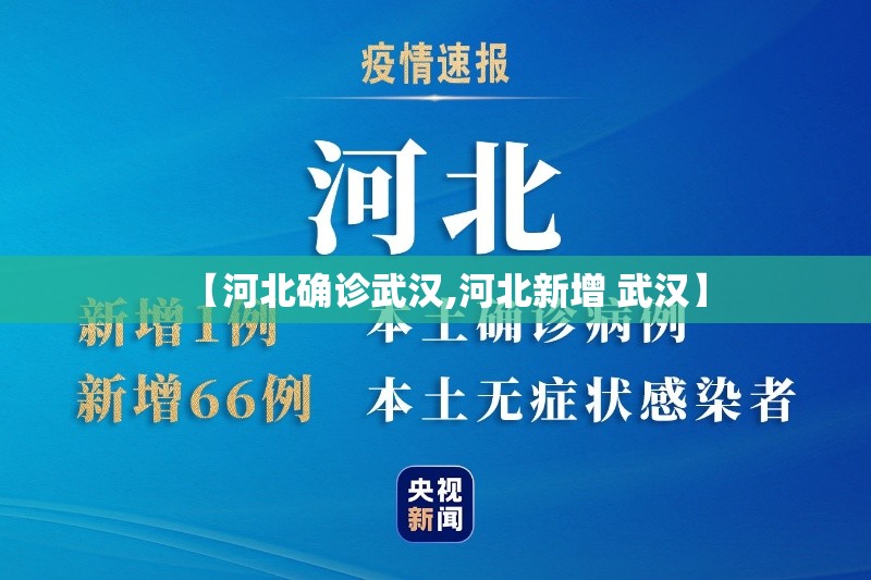 【河北确诊武汉,河北新增 武汉】