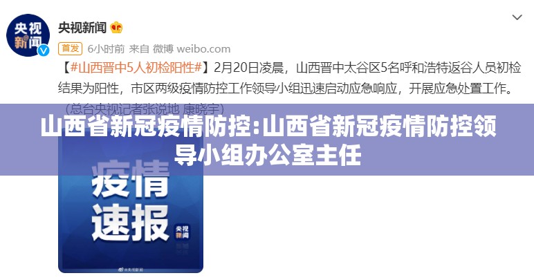 山西省新冠疫情防控:山西省新冠疫情防控领导小组办公室主任