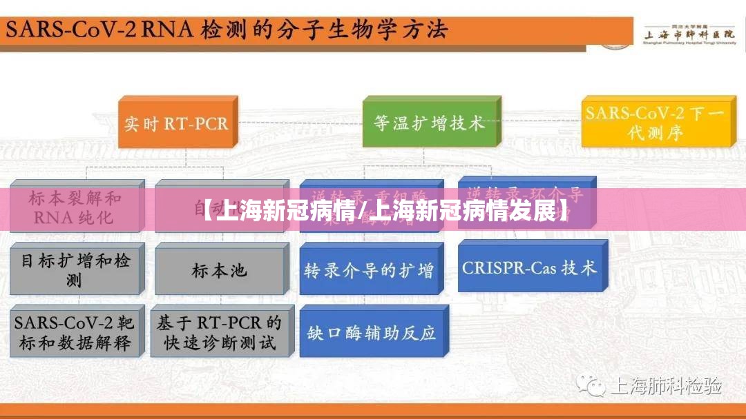 【上海新冠病情/上海新冠病情发展】