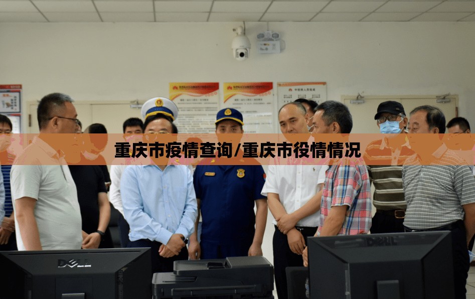 重庆市疫情查询/重庆市役情情况