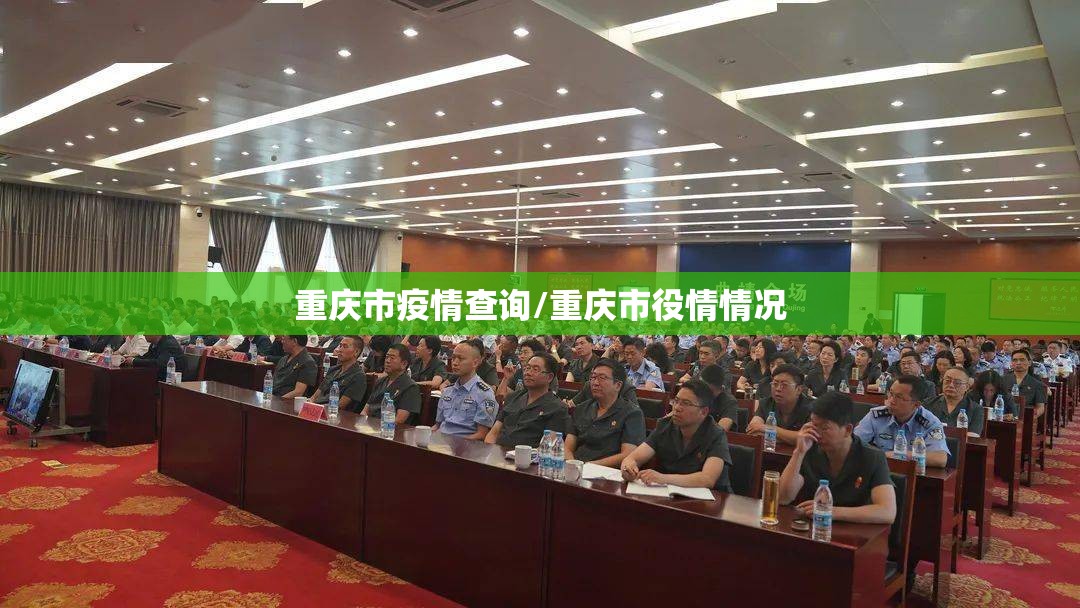 重庆市疫情查询/重庆市役情情况