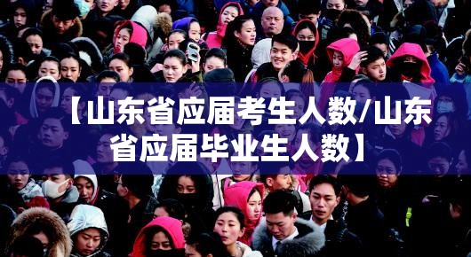 【山东省应届考生人数/山东省应届毕业生人数】