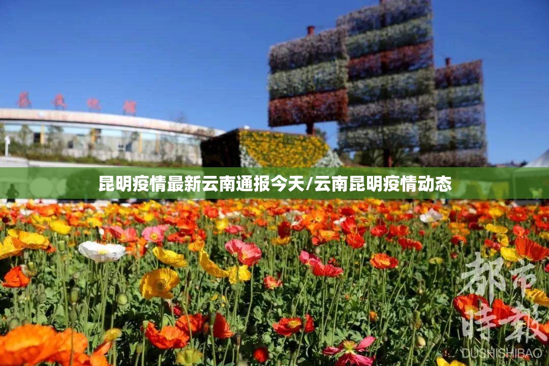 昆明疫情最新云南通报今天/云南昆明疫情动态