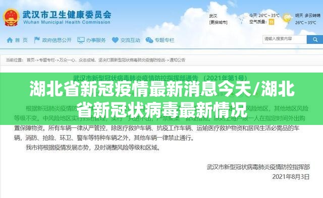 湖北省新冠疫情最新消息今天/湖北省新冠状病毒最新情况