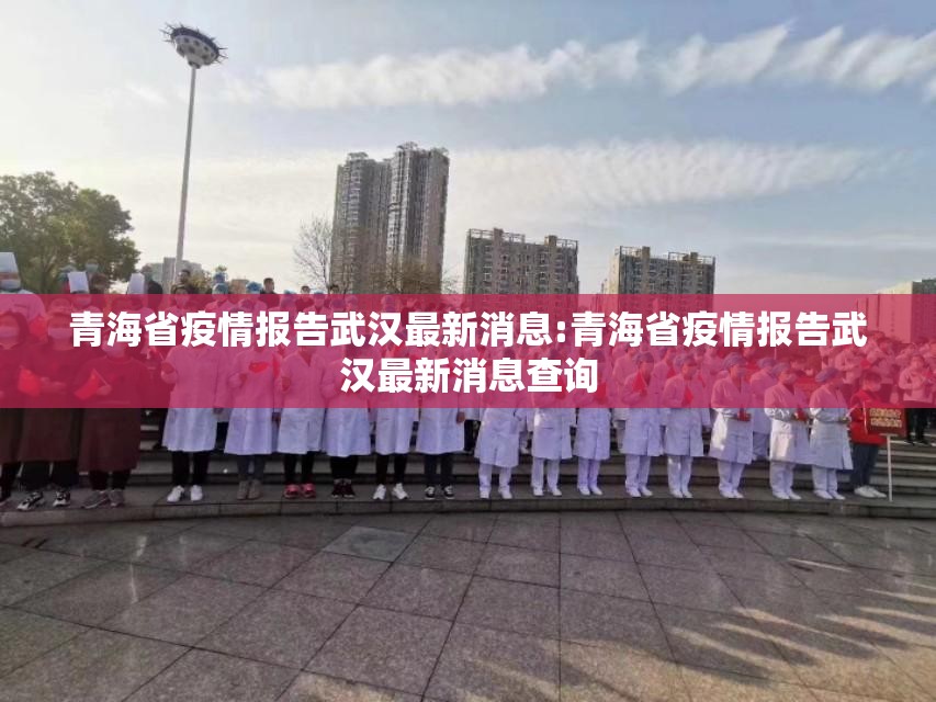 青海省疫情报告武汉最新消息:青海省疫情报告武汉最新消息查询