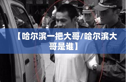 【哈尔滨一把大哥/哈尔滨大哥是谁】