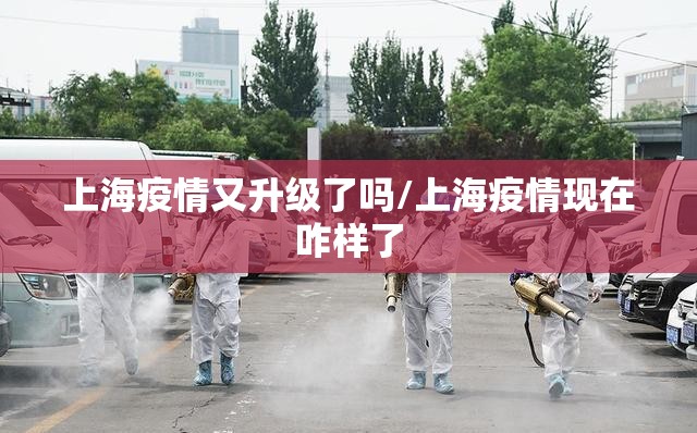 上海疫情又升级了吗/上海疫情现在咋样了