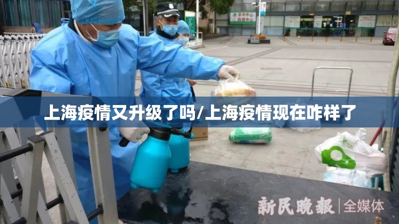 上海疫情又升级了吗/上海疫情现在咋样了
