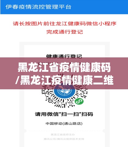 黑龙江省疫情健康码/黑龙江疫情健康二维码图片