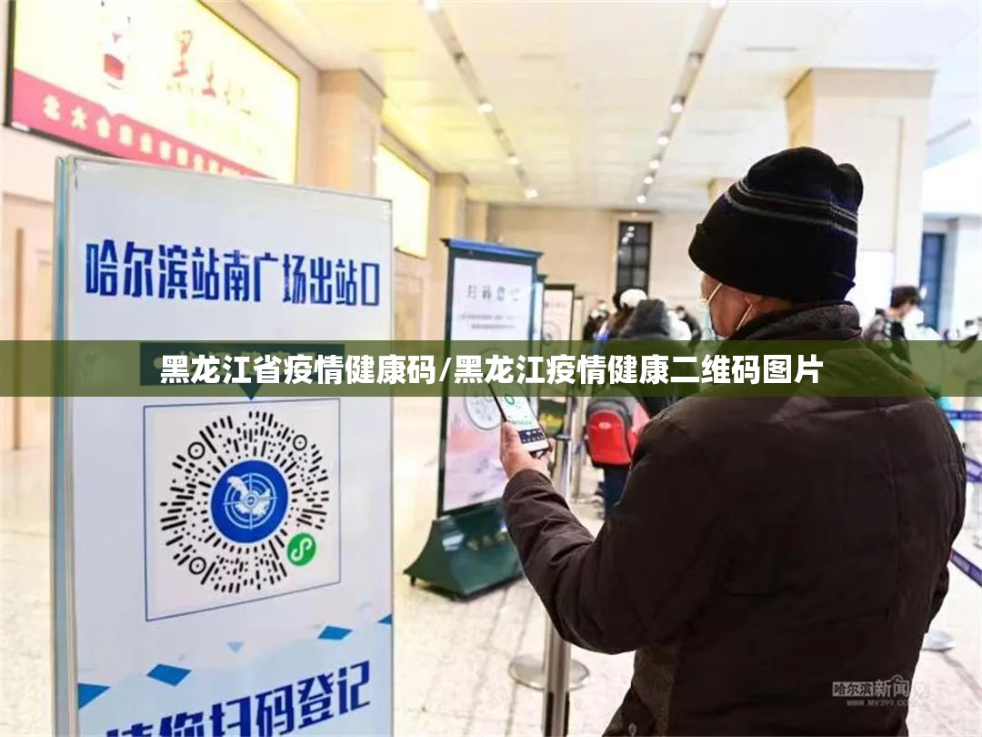 黑龙江省疫情健康码/黑龙江疫情健康二维码图片