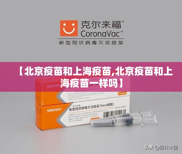 疫情期间澳门回上海/澳门回上海最新政策