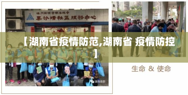 【湖南省疫情防范,湖南省 疫情防控】