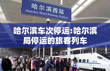 哈尔滨车次停运:哈尔滨局停运的旅客列车