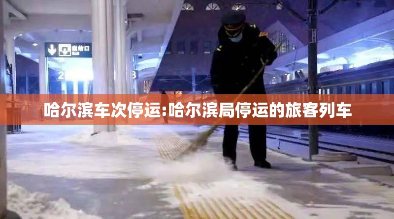 哈尔滨车次停运:哈尔滨局停运的旅客列车