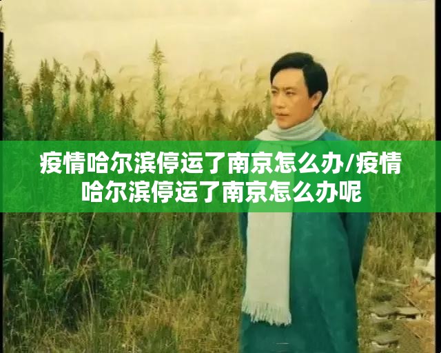 疫情哈尔滨停运了南京怎么办/疫情哈尔滨停运了南京怎么办呢