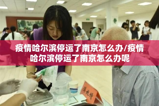 疫情哈尔滨停运了南京怎么办/疫情哈尔滨停运了南京怎么办呢