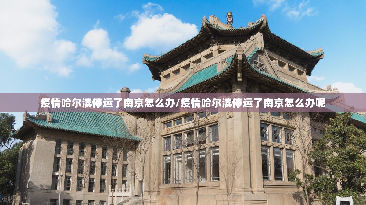 疫情哈尔滨停运了南京怎么办/疫情哈尔滨停运了南京怎么办呢
