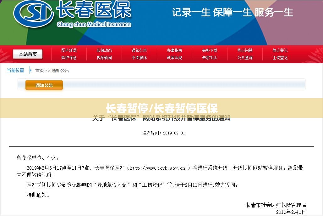 长春暂停/长春暂停医保