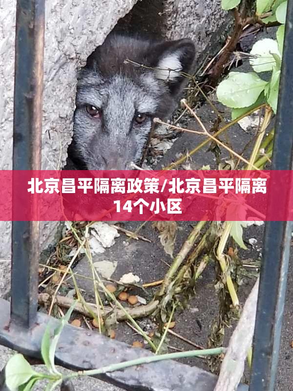北京昌平隔离政策/北京昌平隔离14个小区
