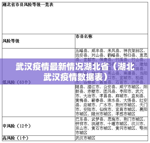 武汉疫情最新情况湖北省（湖北武汉疫情数据表）
