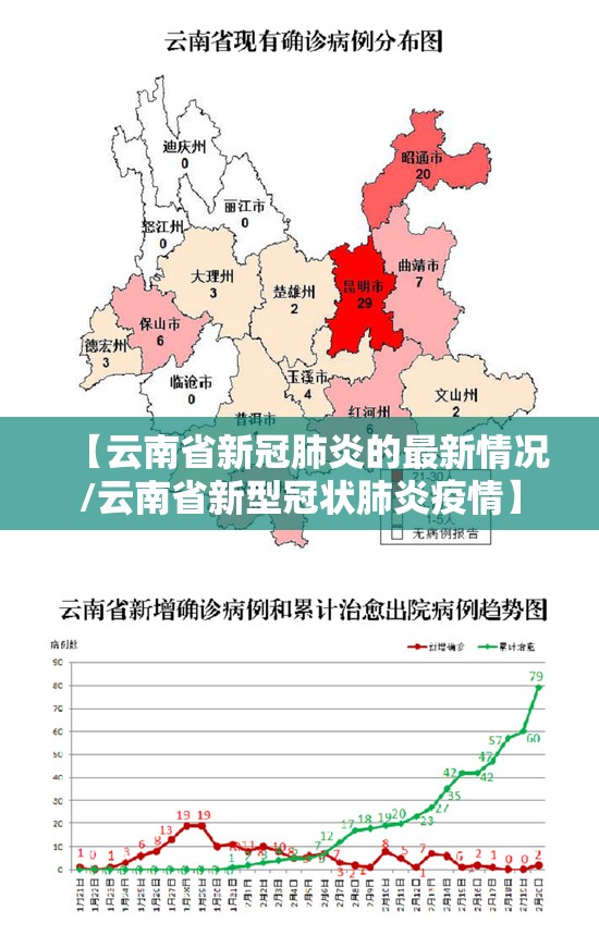 【云南省新冠肺炎的最新情况/云南省新型冠状肺炎疫情】
