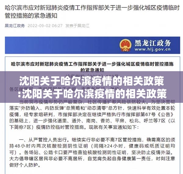 沈阳关于哈尔滨疫情的相关政策:沈阳关于哈尔滨疫情的相关政策文件