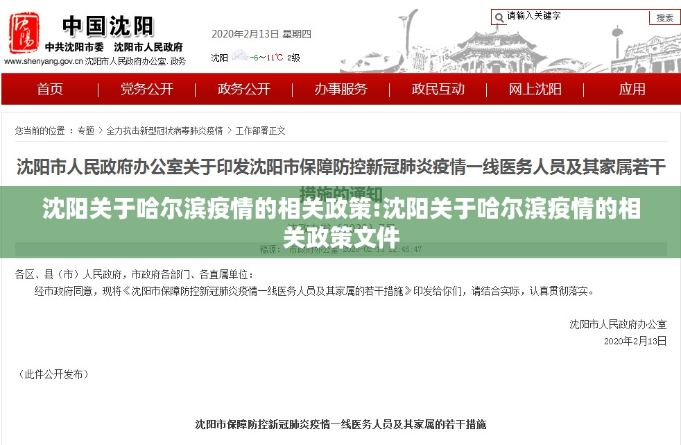 沈阳关于哈尔滨疫情的相关政策:沈阳关于哈尔滨疫情的相关政策文件