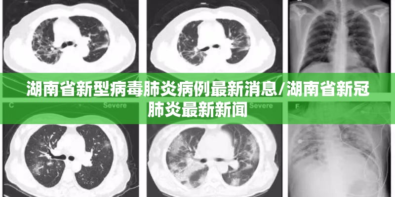 湖南省新型病毒肺炎病例最新消息/湖南省新冠肺炎最新新闻